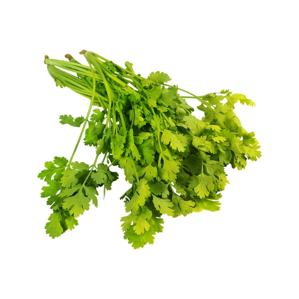 Coriander (Without Roots) (Dhaniya)