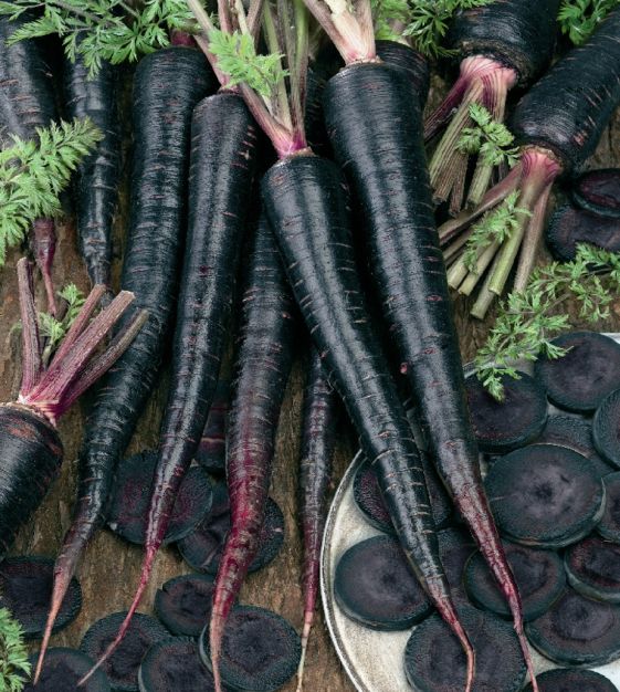 Black Carrot