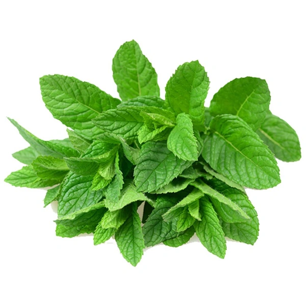 Mint Leaves (Without Roots) (Pudina)