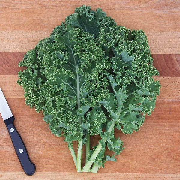 Curly Kale Leaves