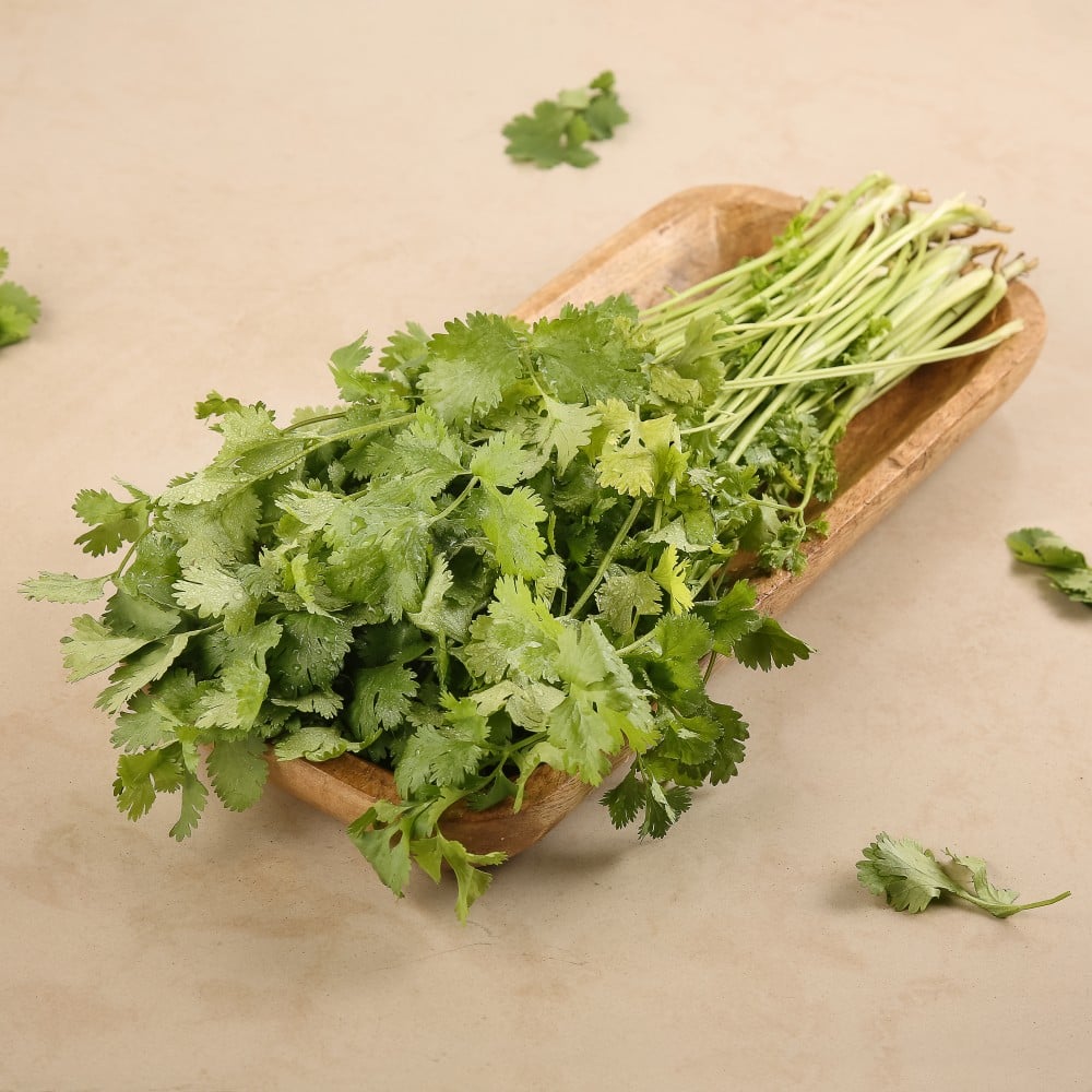 Coriander Bunch (Dhaniya Patta)