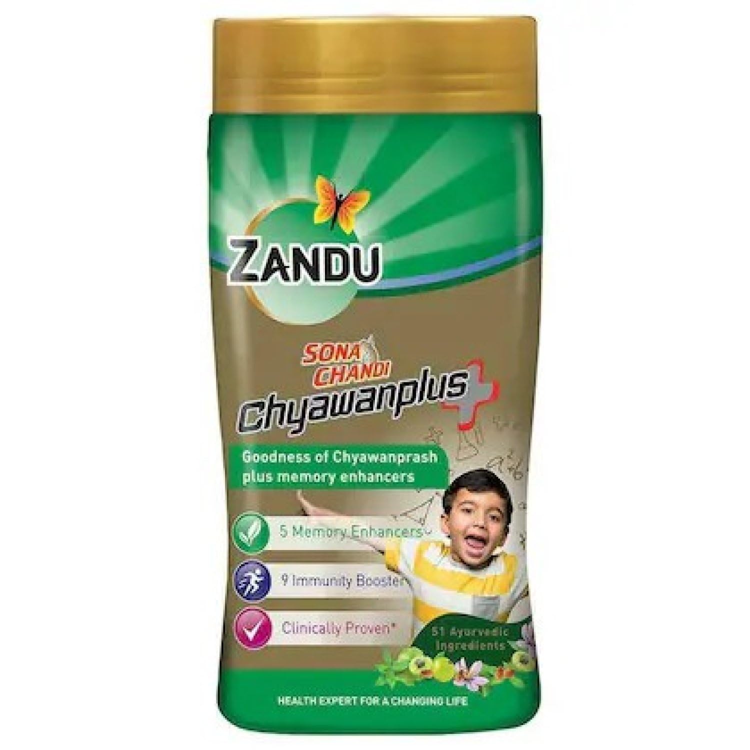 ZHANDU SONA CHANDI CHYAWANPLUS 900G