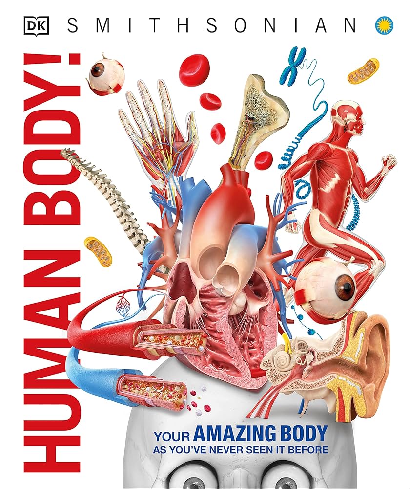 Knowledge Encyclopedia - Human Body