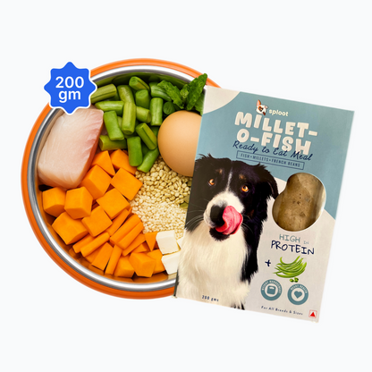 Sploot Millet O Fish Dog Food
