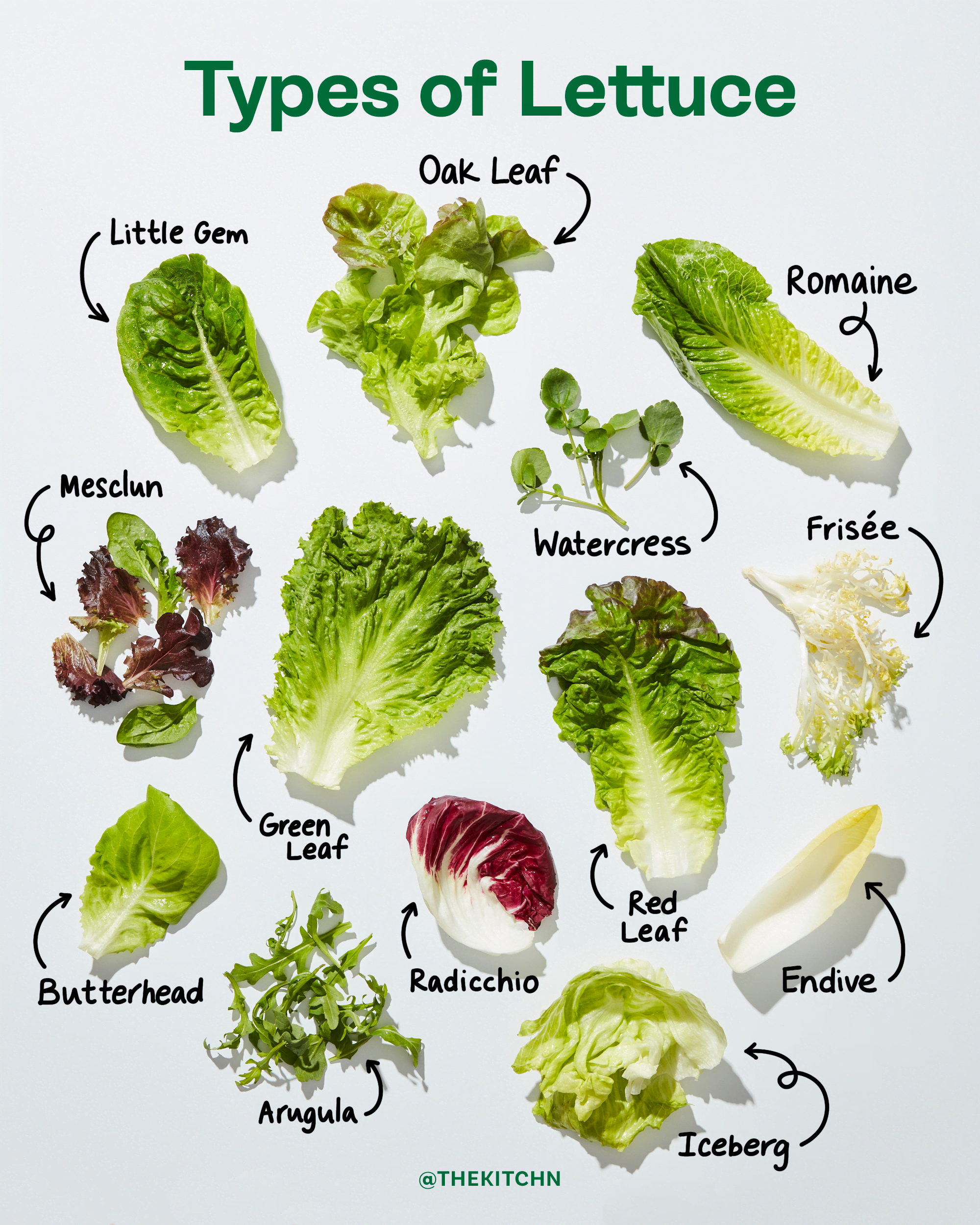 Green Lettuce