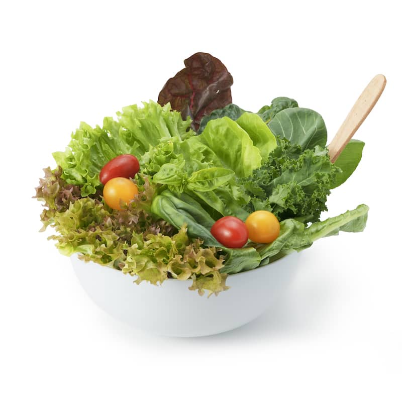 Exotic Vegetable Salad - Hydroponically Grown