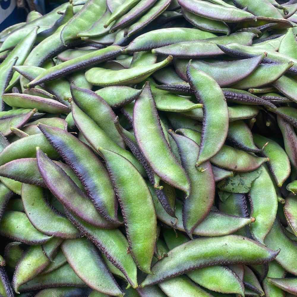 Broad Beans (Sem Phali)