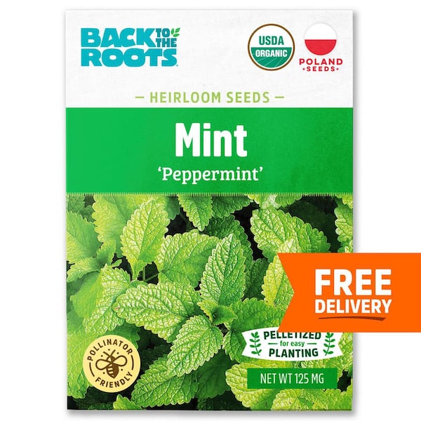 Basil Leaves + Lemon + Mint Leaves Bunch - With roots Combo