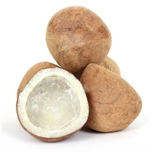COCONUT GOLA