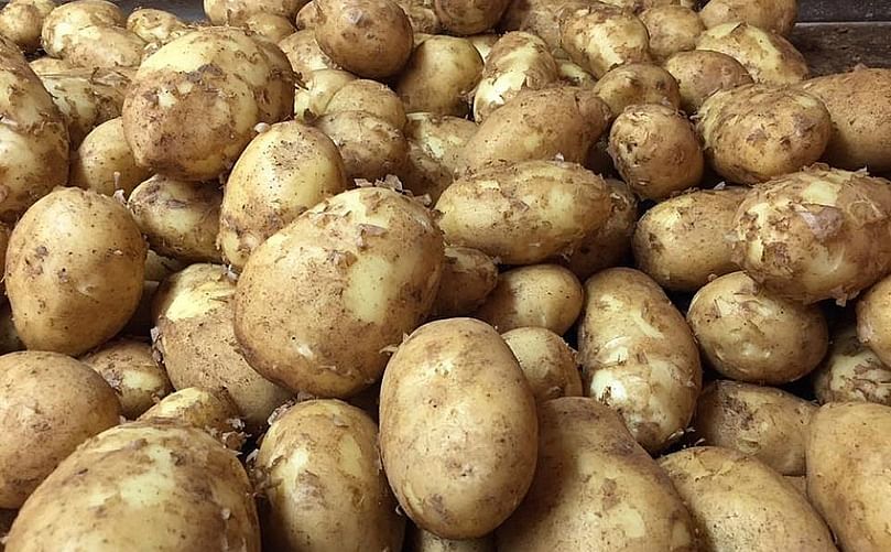 Potato - New Crop (Aloo)
